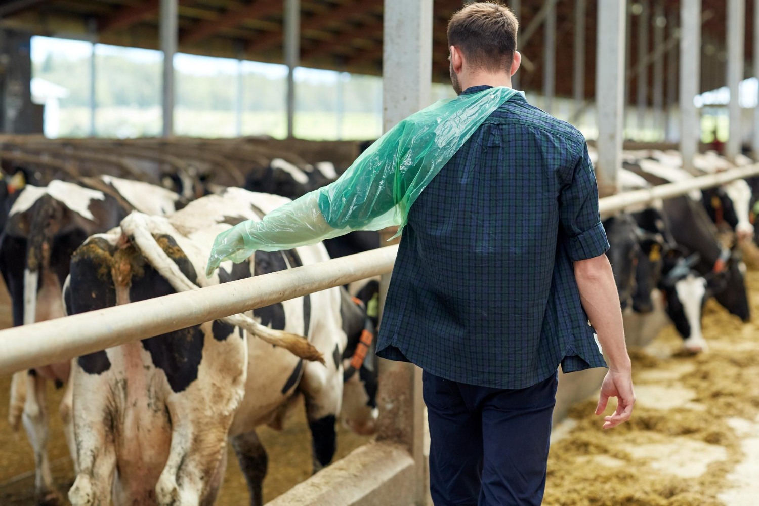 Dairy Data Partners - DDP - Insights for the Whole Farm Team