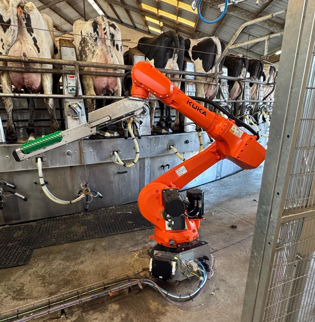 IDS Pre-Brush Robot - Intelligent Dairy Solutions