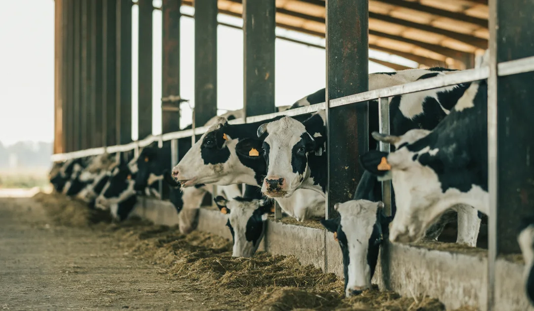 From Data Noise to Clarity