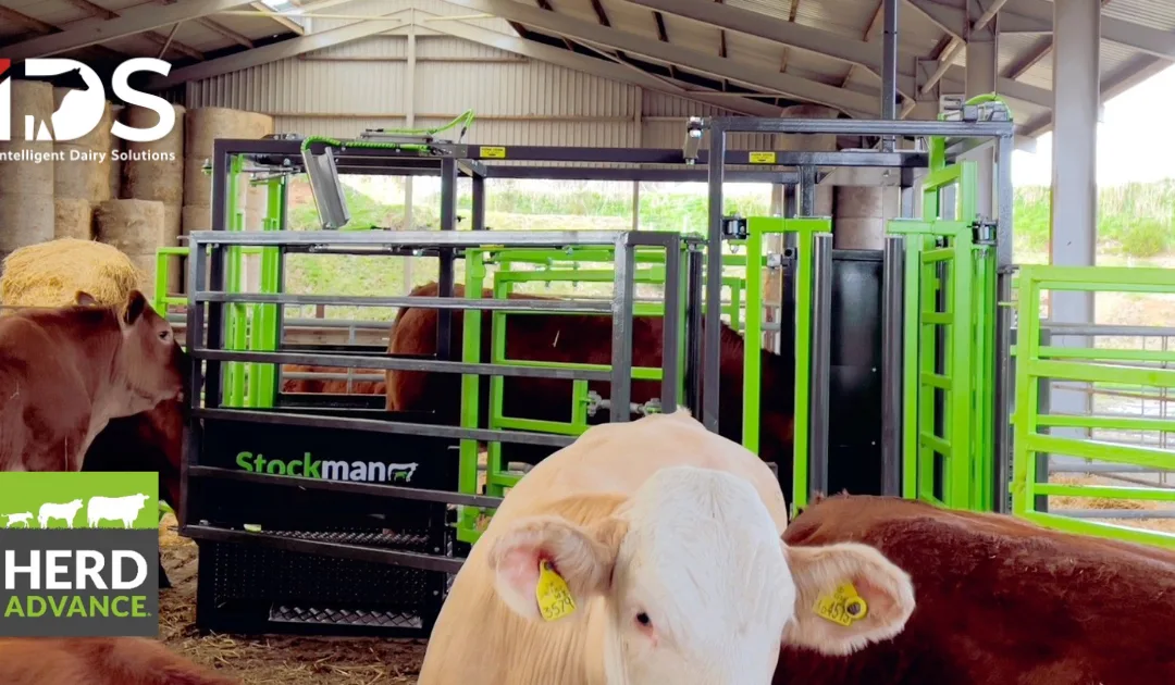 Scottish Agri-Tech Leaders IDS and Herd Advance Form New Strategic Collaboration
