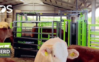 Scottish Agri-Tech Leaders IDS and Herd Advance Form New Strategic Collaboration