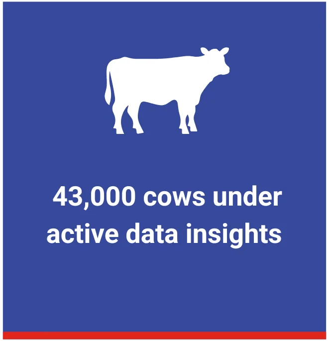 DDP Dairy Data Partners - 43,000 cows under active data insights
