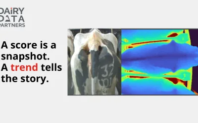 Barn. Dashboard. Decision: Inside Dairy Data Partners Body Condition Work